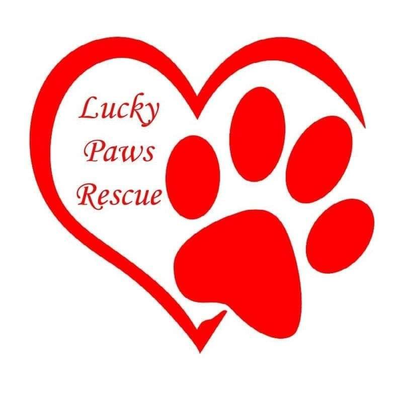 Lucky Paws Rescue