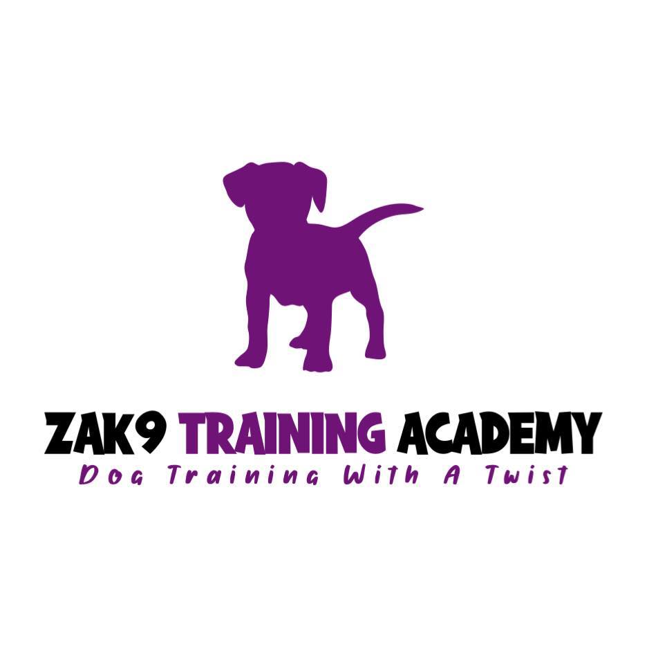 ZAK9 Academy